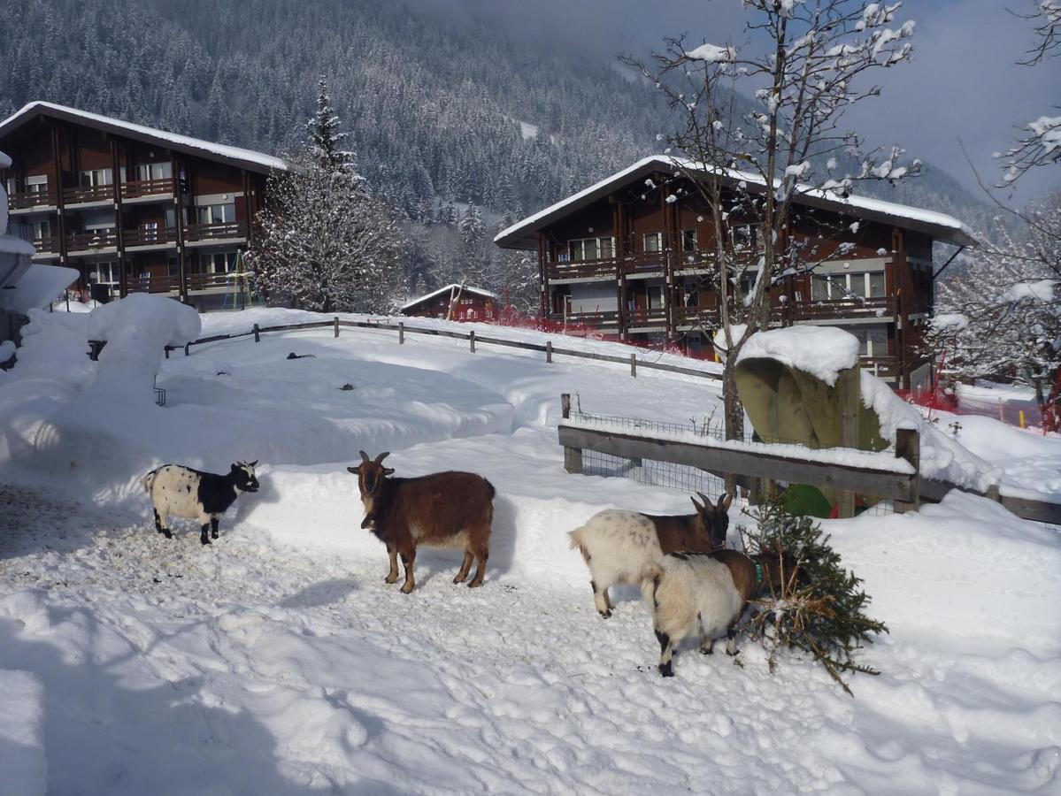 Hotel Reka-Feriendorf Lenk im Simmental Exterior foto